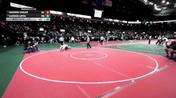 134 lbs Quarterfinal - Andrew Childs, CRT2 vs Carson Lipps, PROA