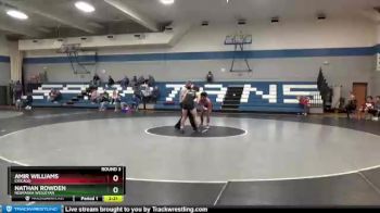 141 lbs Round 3 - Nathan Rowden, Nebraska Wesleyan vs Amir Williams, Chicago