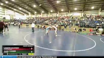 147 lbs Champ. Round 3 - David Clinger, Layton vs Landon Shumway, Mountain View