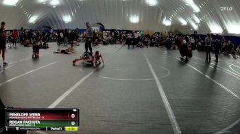 44 lbs Round 3 (10 Team) - Penelope Webb, Michigan Gold Pittbulls vs Rogan Pachuta, Rising Kingz Gold