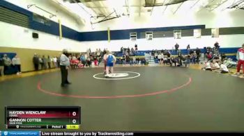 285 lbs Semifinal - Gannon Cotter, Deer Park vs Hayden Wienclaw, Ferris