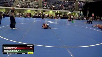 45 lbs Round 4 - Theseus Yang-Elson, Summit Wrestling Academy vs Caleb D. Miller, Immortal Athletics WC