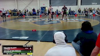 157 lbs Cons. Round 4 - Nicholas DeLorenzo, Delaware Valley vs Tallion Elliott, Marymount