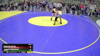 93 lbs Semifinal - Harlow Reyes, Rock Of Redmond Wrestling vs Shawn McQuistan, Tombey