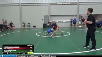 106 lbs Semis & 3rd Wb (16 Team) - Harrison Haffner, Ohio Scarlet vs Roman Valera, Kentucky