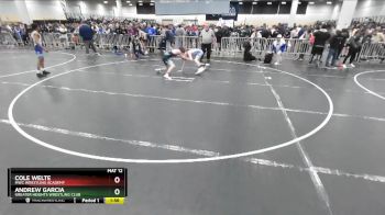 113 lbs Quarterfinal - Andrew Garcia, Greater Heights Wrestling Club vs Cole Welte, MWC Wrestling Academy