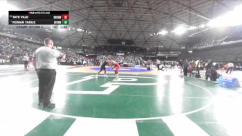 Boys 3A 175 lbs Champ. Round 3 - Roman Tabile, Evergreen (Vancouver) vs Tate Vale, Snohomish