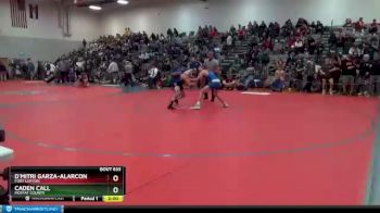 138 lbs Semifinal - D`mitri Garza-Alarcon, Fort Lupton vs Caden Call, Moffat County