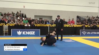 Elsa Delminda Marques E Sousa vs Marien Apellaniz Muzquiz 2024 World Masters IBJJF Jiu-Jitsu Championship