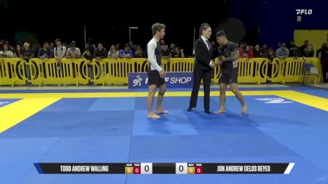 Jon Andrew Delos Reyes vs Todd Andrew Walling 2025 Pan IBJJF Jiu-Jitsu No-Gi Championship