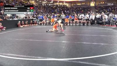 150 lbs Semis - Mason Warnke, Clarion-Goldfield-Dows vs Lane Gudenkauf, West Delaware, Manchester