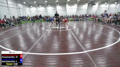145 lbs Jameson Strickland, Pennsylvania Blue vs Kenley Hamley, North Dakota Gold