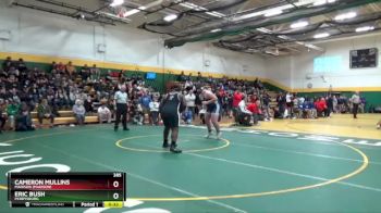 285 lbs Cons. Round 3 - Cameron Mullins, Madison (Madison) vs Eric Bush, PERRYSBURG