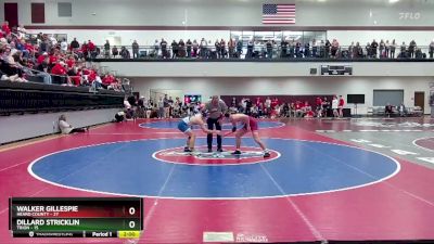 165 lbs 4th Wrestleback (16 Team) - Dillard Stricklin, Trion vs Walker Gillespie, Heard County