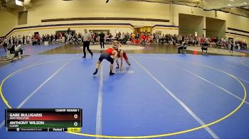 141 lbs Champ. Round 1 - Gabe Bulugaris, Ohio Wesleyan vs Anthony Wilson, Cleary