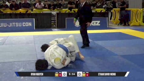 Ethan David Wong vs Ryan Nguyen 2025 Pan Jiu Jitsu IBJJF Championship
