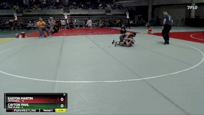 125 lbs Semis (4 Team) - Cayton Pahl, Pine Island vs Easton Martin, Centennial