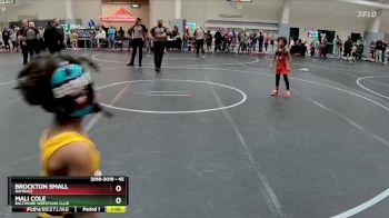45 lbs Champ. Round 1 - Brockton Small, Rampage vs Mali Cole, Baltimore Wrestling Club