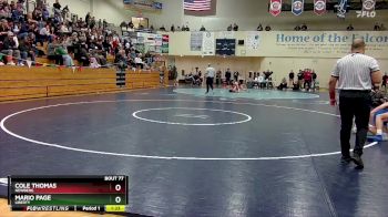 157 lbs Quarterfinal - Mario Page, Liberty vs Cole Thomas, Newberg