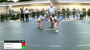 50 lbs Quarterfinal - Noah Domingo, Outlaws WC vs Titan Mascoto, Flow Academy HI