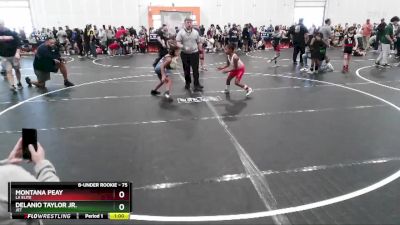 75 lbs Quarterfinal - Montana Peay, LA Elite vs Delanio Taylor Jr., JET