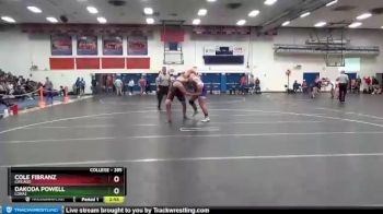 285 lbs Semifinal - Cole Fibranz, Chicago vs Dakoda Powell, Loras