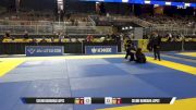 Celine Barbara Lopez vs Heather Irene Williams 2025 Pan Jiu Jitsu IBJJF Championship