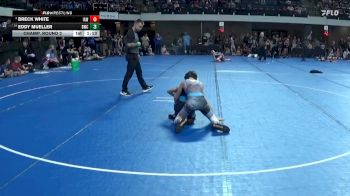 85 lbs Champ. Round 2 - Breck White, Immortal Athletics WC vs Eddy Mueller, Bison Wrestling Club