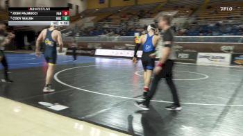 165 lbs Round Of 16 - Josh Palmucci, Franklin & Marshall vs Cody Walsh, Drexel