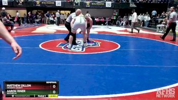 7A-215 lbs Semifinal - Matthew Dillon, Colquitt County vs Aaron Riner, Buford HS