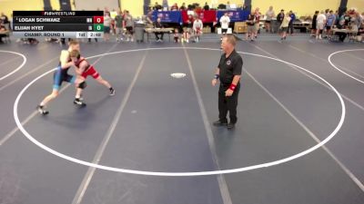 132 lbs Champ. Round 1 - Logan Schwanz, MN vs Elijah Hyet, IA