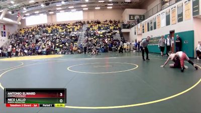 106 lbs Cons. Round 5 - Nico Lallo, NORTH ROYALTON vs Antonio Elward, CANTON MCKINLEY