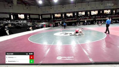 106 lbs Consi Of 16 #2 - Caleb Haney, St. Christopher's School vs Leo Badolato, Paul VI