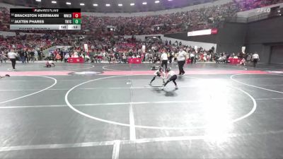 63 lbs Champ. Round 1 - Jaxten Phares, Team Nazar Training Center vs Brackston Herrmann, Westby Wrestling Club/Top Dawgs