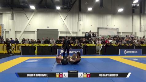 Joshua Ryan Lorton vs Diallo A Braithwaite 2025 World IBJJF Jiu-Jitsu No-Gi Championship