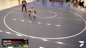 50 lbs Semifinal - Eli Looman, Kimball vs Lucas Linn, Rocori