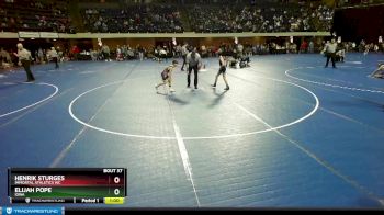 77 lbs Champ. Round 1 - Henrik Sturges, Immortal Athletics WC vs Elijah Pope, Iowa