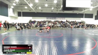 157 lbs Cons. Round 6 - Dominic Tamayo, Oak Hills vs Marcel Blake, South Torrance