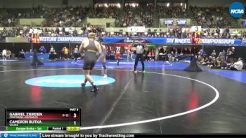 197 lbs Semifinal - Gabriel Zierden, Concordia-Moorhead vs Cameron Butka, Wilkes