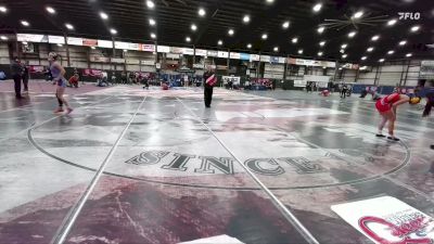 124 lbs Quarterfinal - Anna Henstein, Cobbler Wrestling vs Nevada Mcmahon, Lead-Deadwood