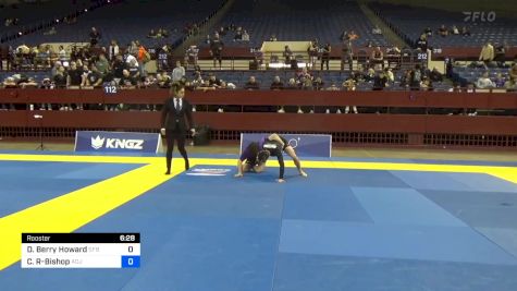 David Berry Howard vs Corbin Benjamin Ratheau-Bishop 2024 Pan IBJJF Jiu-Jitsu No-Gi Championship
