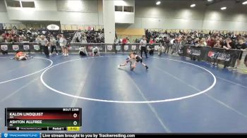 67 lbs Cons. Round 5 - Ashton Allfree, KS vs Kalon Lindquist, MN
