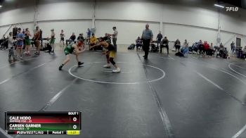 80 lbs Finals (2 Team) - Carsen Garner, PA Alliance vs Cale Hodo, Diamond Fish