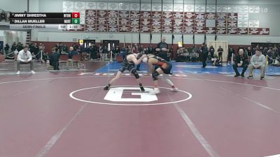 132 lbs Semifinal - Jimmy Shrestha, Watertown vs Dillan Mueller, Norton