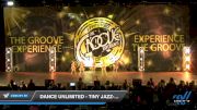 Dance Unlimited - Tiny Jazz- Party People [2019 Tiny - Jazz - Small Day 1] 2019 WSF All Star Cheer and Dance Championship