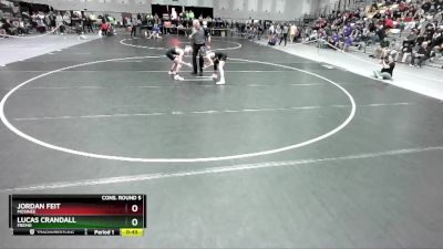 106 lbs Cons. Round 5 - Jordan Feit, Mosinee vs Lucas Crandall, Fremd