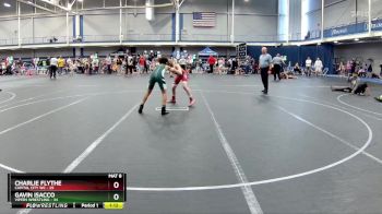 110 lbs Finals (2 Team) - Gavin Isacco, Vipers Wrestling vs Charlie Flythe, Capital City WC