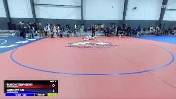 138 lbs 3rd Place Match - Mason Townsend, Washington vs Andrew Cai, Washington