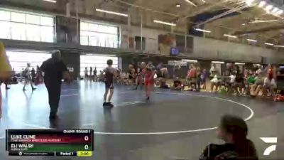 115 lbs Champ. Round 1 - Luke Cline, Team Hammer Wrestling Academy vs Eli Walsh, Alpha Elite