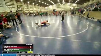 110 lbs Semis & Wb (16 Team) - Talmage Mortimer, Champions vs Gage Mcmickell, Uintah